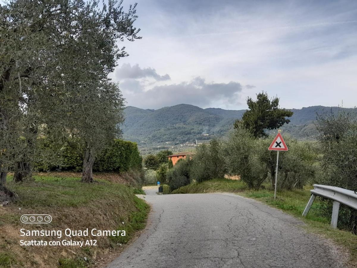 La Casa Di Debby Parcheggio Wi-Fi , Aria Condizionata Gratuiti Appartement Capannori Buitenkant foto